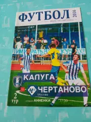 ФК Калуга - Чертаново Москва. 29 июля 2016 год