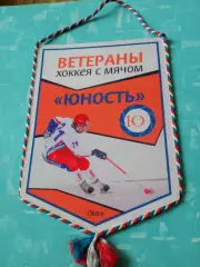 ВЫМПЕЛ, с 2 сторон. Ветераны хоккея с мячом, Юность Омск