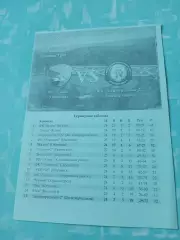 Квант Обнинск - ФК Долгопрудный-2. 13 октября 2014 год