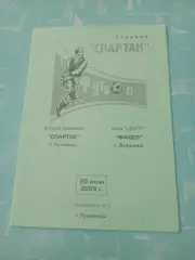 Спартак Луховицы - Факел Воронеж. 20 июня 2004 год