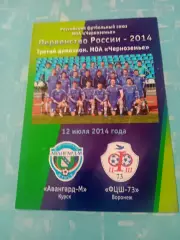 Авангард-М Курск - ФЦШ-73 Воронеж. 12 июля 2014 год