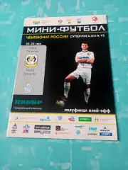 Плей-офф. МФК Тюмень - Динамо Москва. 25 и 26 мая 2015 год