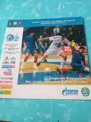 Кубок России. ТТГ-Югра - Динамо-Ямал Москва. 10 марта 2010 год