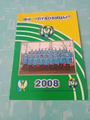 ФК Луховицы - Зодиак Старый Оскол. 24 августа 2008 год