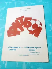 Кубок России. Динамо Брянск - Авангард Курск. 18 апреля 1992 год