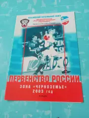 Ташир Калуга - Металлург-2 Липецк. 20 июля 2003 год