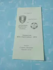 ФК Калуга-2 - Академия футбола Тамбов. 12 апреля 2014 год