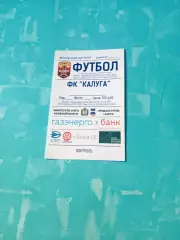 БИЛЕТ. ФК Калуга - Факел-М Воронеж. 18 октября 2020 год
