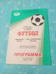 Кубок СССР. Динамо Киев - СКА Карпаты Львов. 14 мая 1987 год