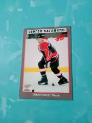 Сергей Кагайкин. ХК Авангард