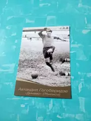 Автандил Гогоберидзе, Динамо Тбилиси