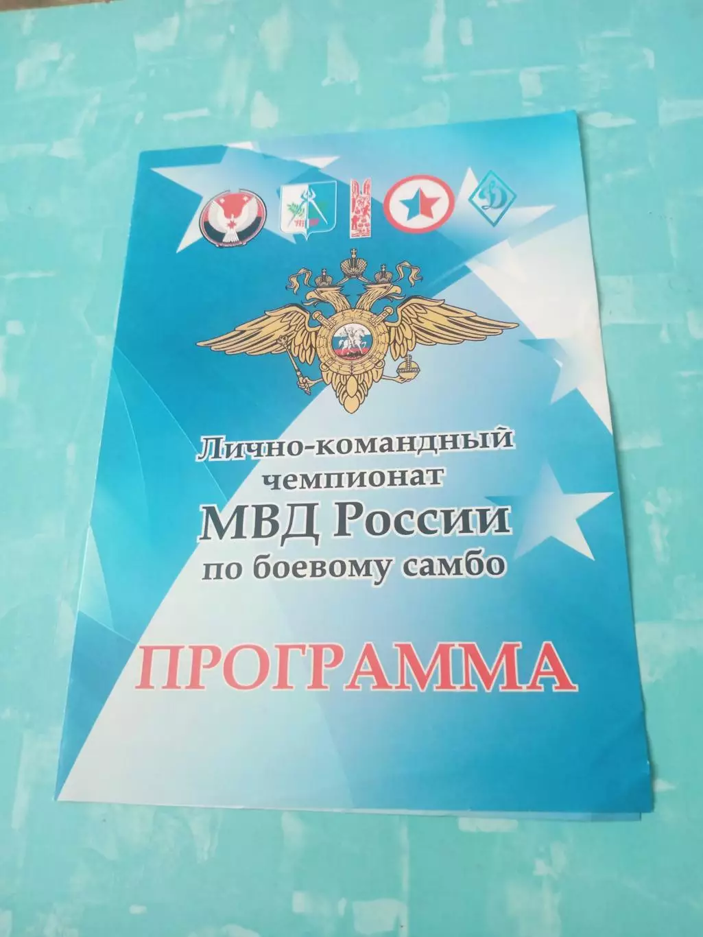 Боевое самбо. Лично-командный чемпионат МВД. 2016 год, Ижевск