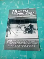 5 международный турнир памяти В.Позднякова. Хабаровск. 2001 год