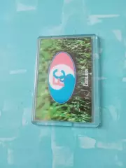 МАГНИТ - ФК Сахалин Южно-Сахалинск