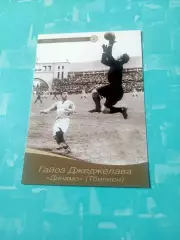 Гайоз Джеджелава, Динамо Тбилиси