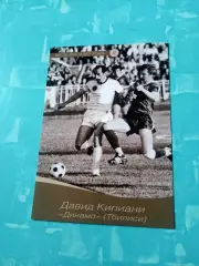 Давид Кипиани, Динамо Тбилиси