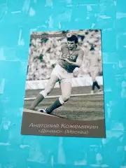 Анатолий Кожемякин, Динамо Москва