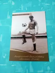 Анатолий Бышовец, Динамо Киев