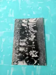 Динамо Киев - 1985/1986 годы