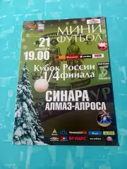 Кубок России. Синара Екатеринбург - Алмаз-АЛРОСА Мирный. 21.12.2010 год