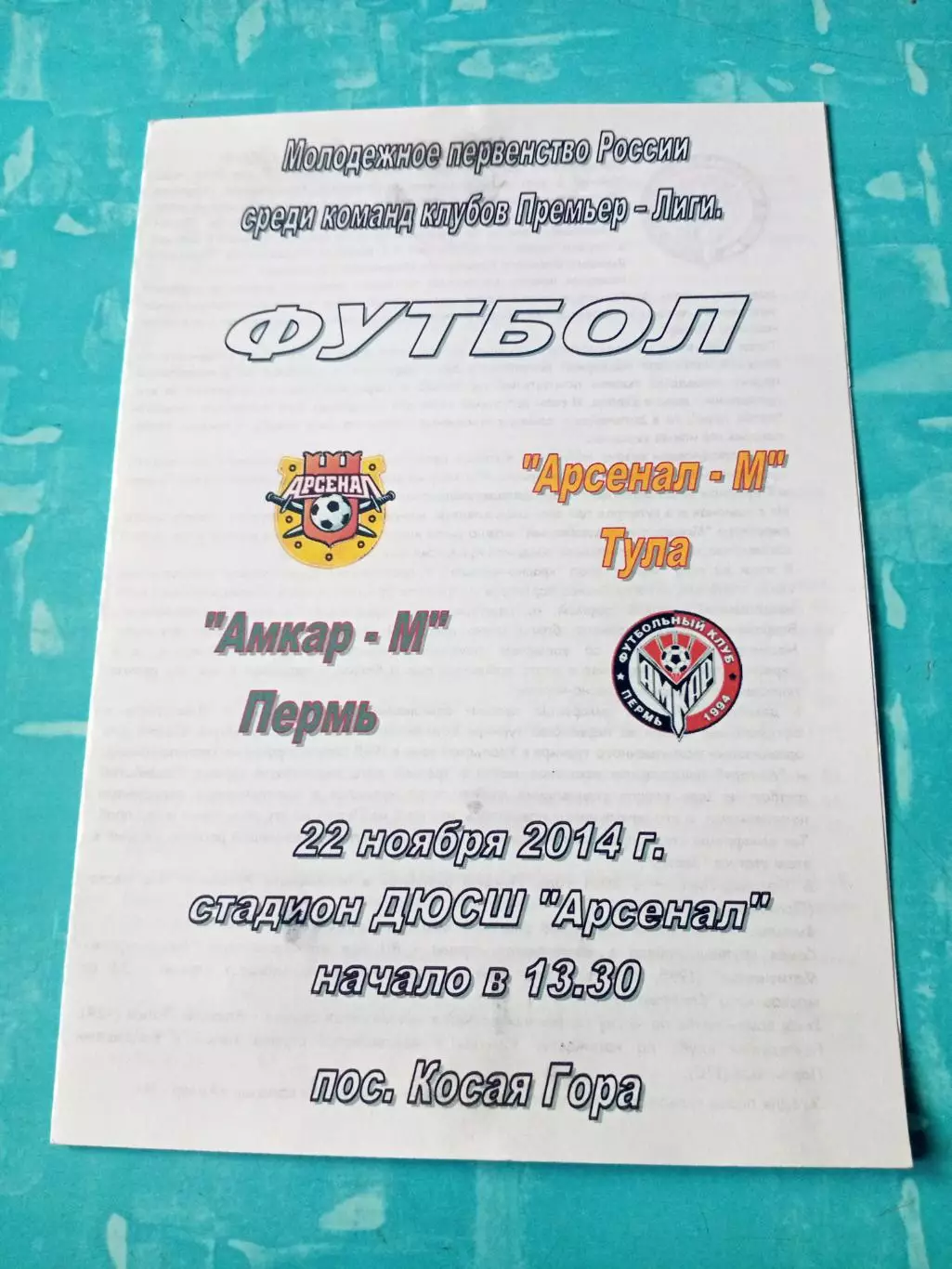 Арсенал-М Тула - Амкар-М Пермь. 22 ноября 2014 год