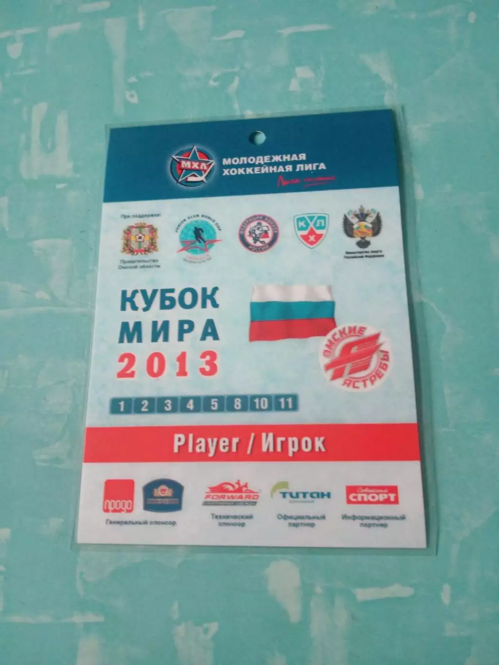 Кубок мира. 2013 год. Аккредитация - игрок