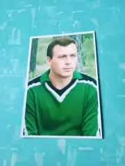 Фото. Легендарный игрок омской команды, 60-е годы. Анатолий Хозяинов
