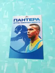 Пантера. Игрок команды 2DROTS