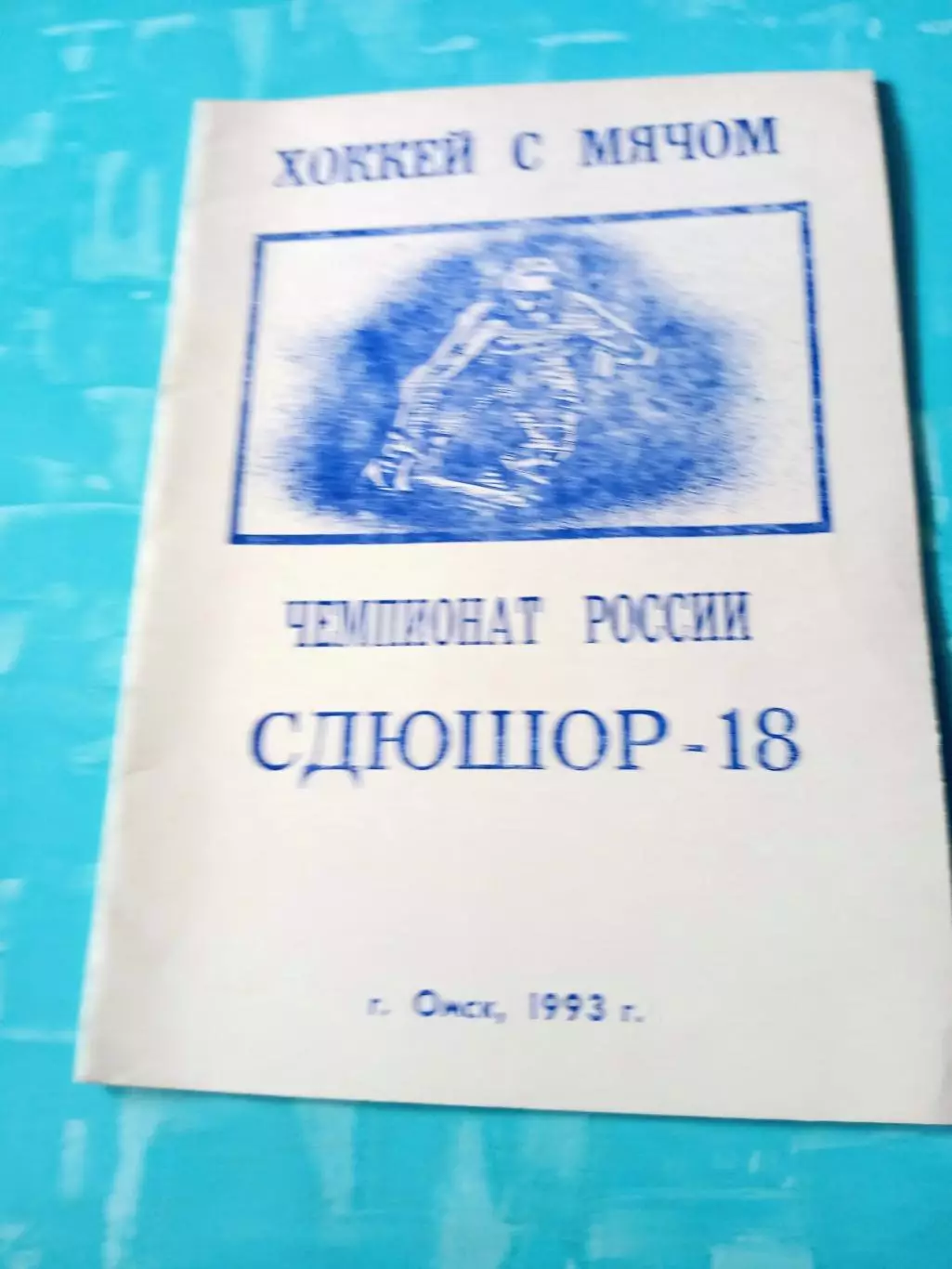 Хоккей с мячом. Омск. 1993 год
