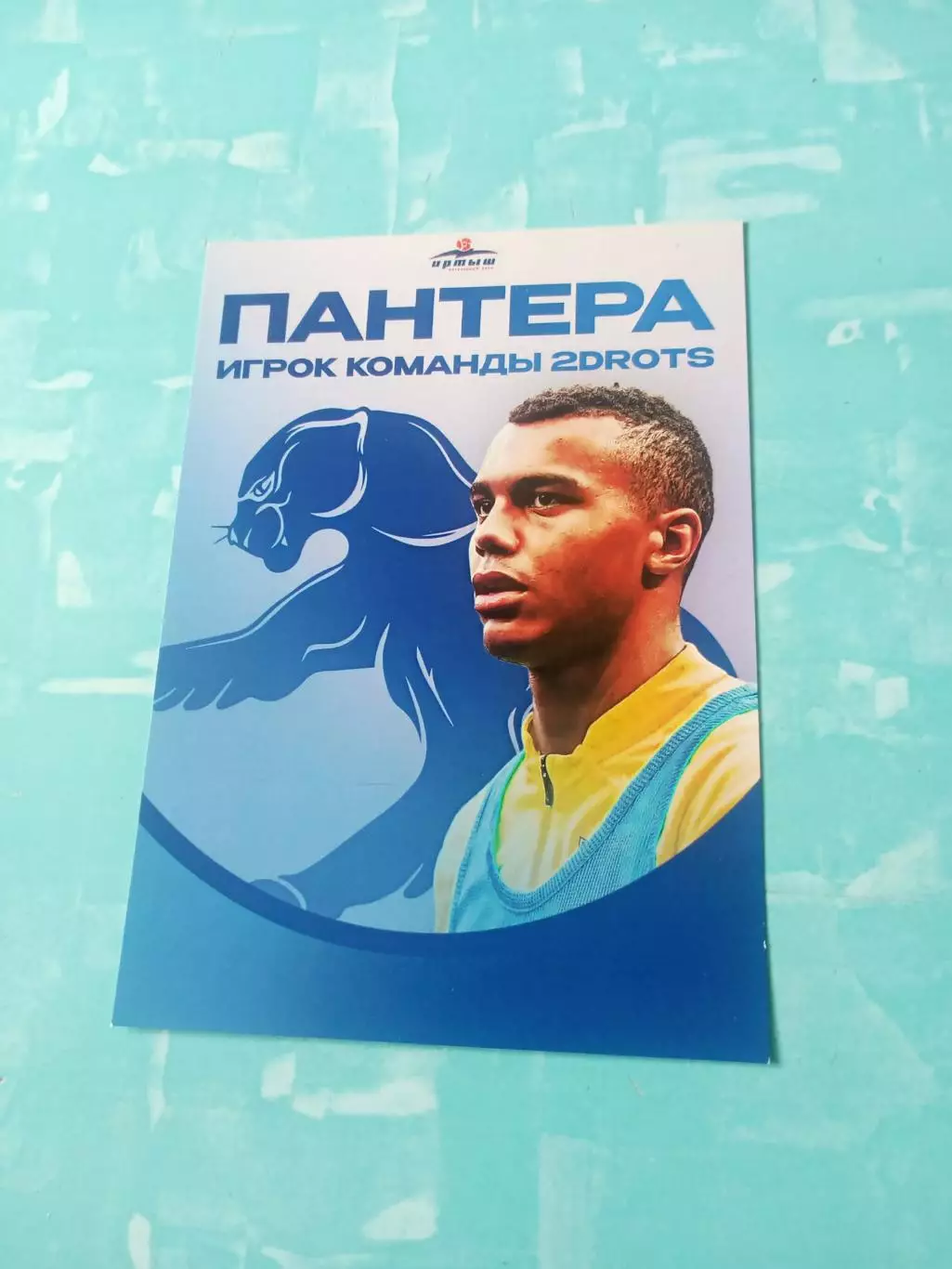 Пантера. Игрок команды 2DROTS