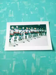 Омский Химик на старте сезона-1972/1973