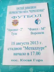 Арсенал-2 Тула - Факел-М Воронеж. 18 августа 2013 год
