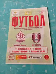 Динамо Брянск - ФК Калуга. 11 октября 2015 год