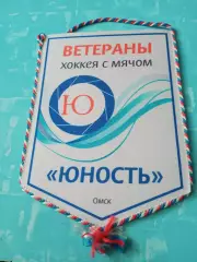 ВЫМПЕЛ. Хоккей с мячом. Ветераны омской команды Юность