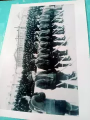 ФОТО, формат А4. Хоккей. Команда Спартак Омск. Сезон-1958/1959