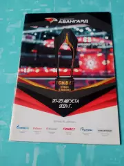 Кубок Блинова. 20 -25 августа 2024 год, Омск
