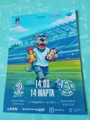 Динамо Брянск - Динамо Киров. 14 марта 2026 год