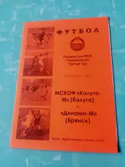ФК Калуга-М - Динамо-М Брянск. 30 апреля 2011 год