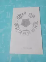 ФК ЭВМ Рузаевка. 1989 год