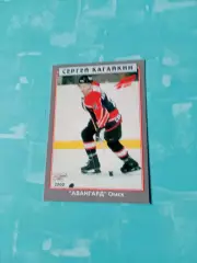 Сергей Кагайкин. ХК Авангард