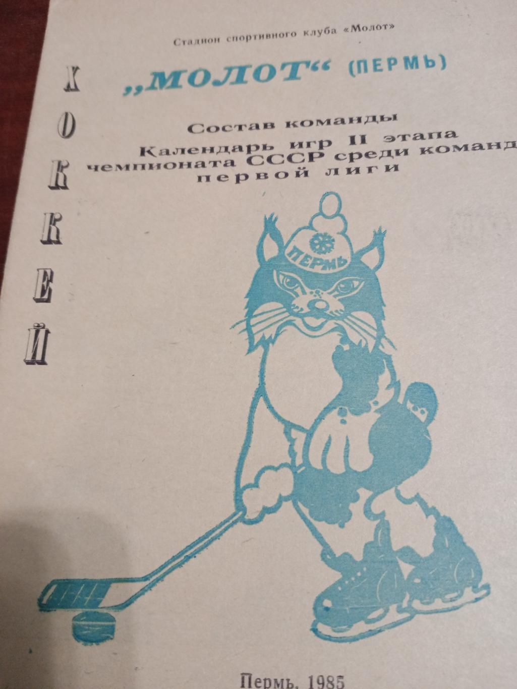 Хоккей. Молот Пермь - 2 этап чемпионата, 1985 г.