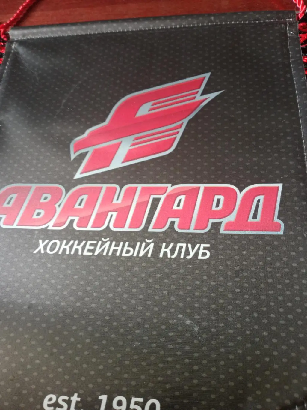 Вымпел. Хоккейный клуб Авангард