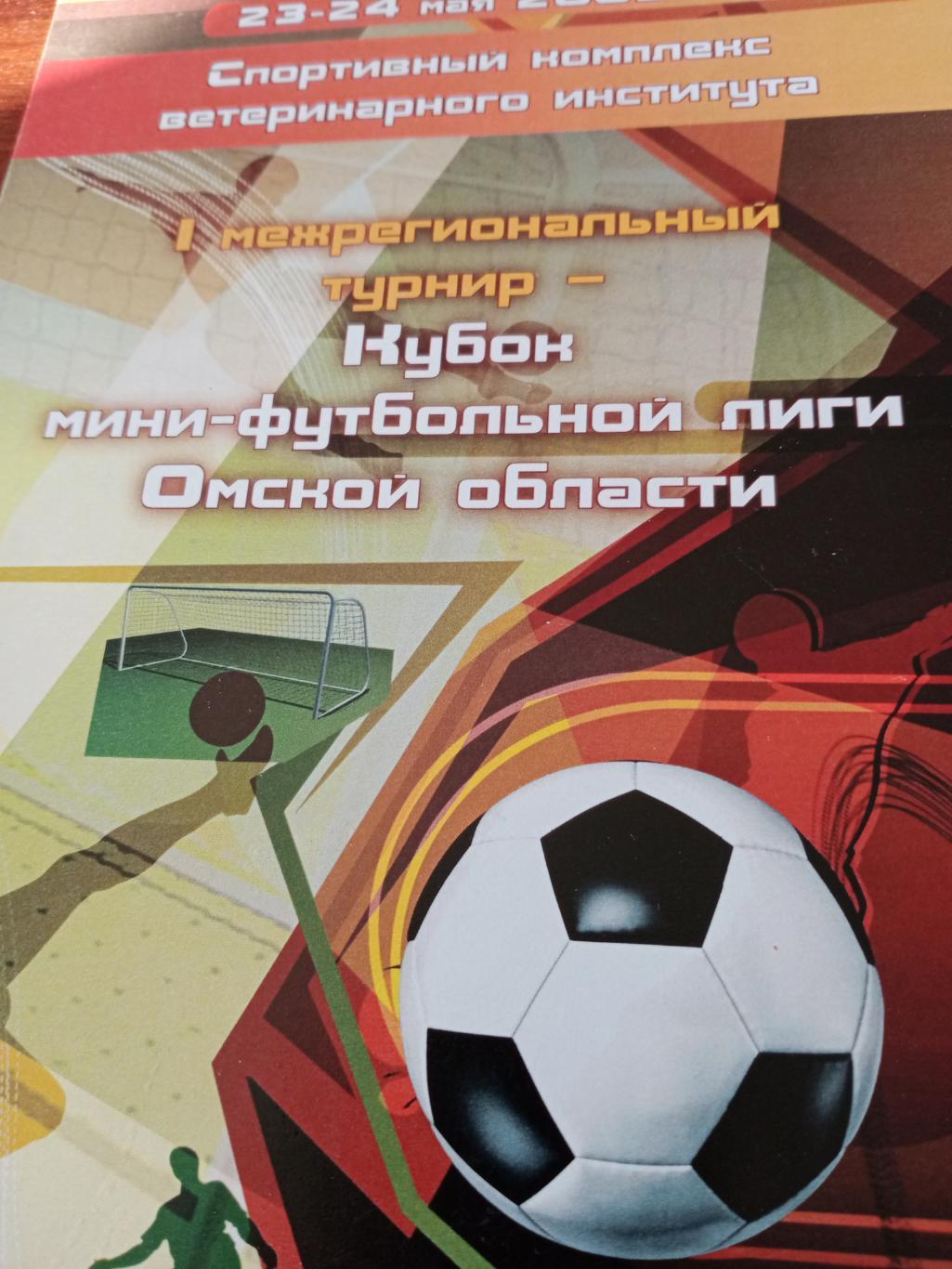 Кубок мини-футбольной лиги Омской области. 2009 г.