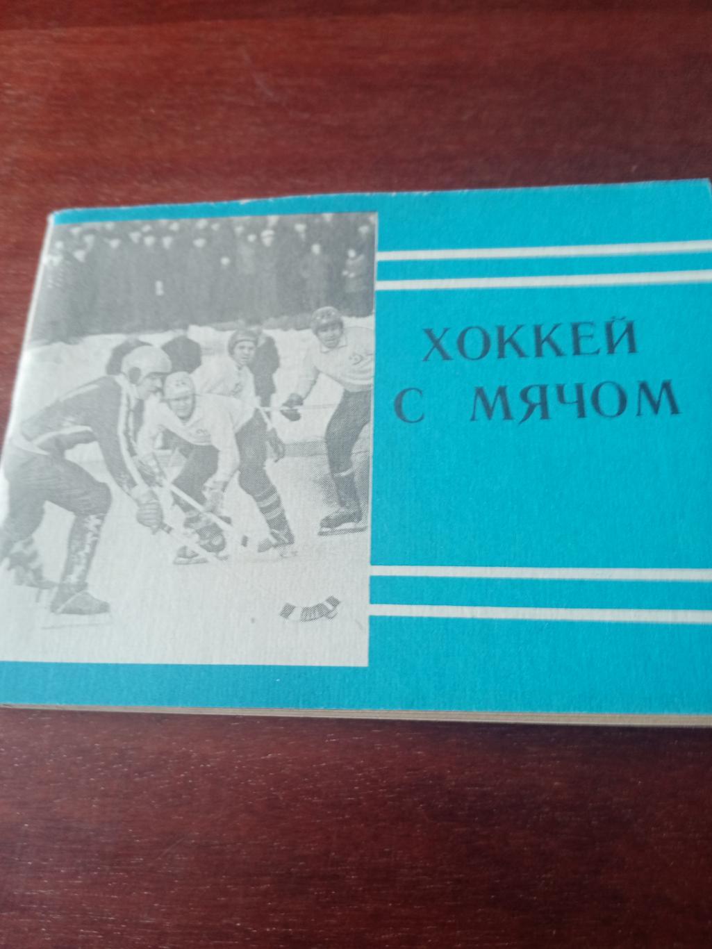 Хоккей с мячом. Московская правда. 1980/1981 годы