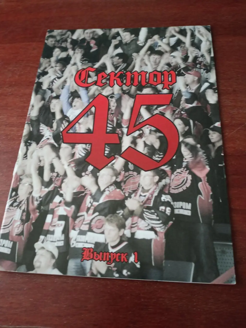 ХК Авангард Омск. Фан-сектор №45