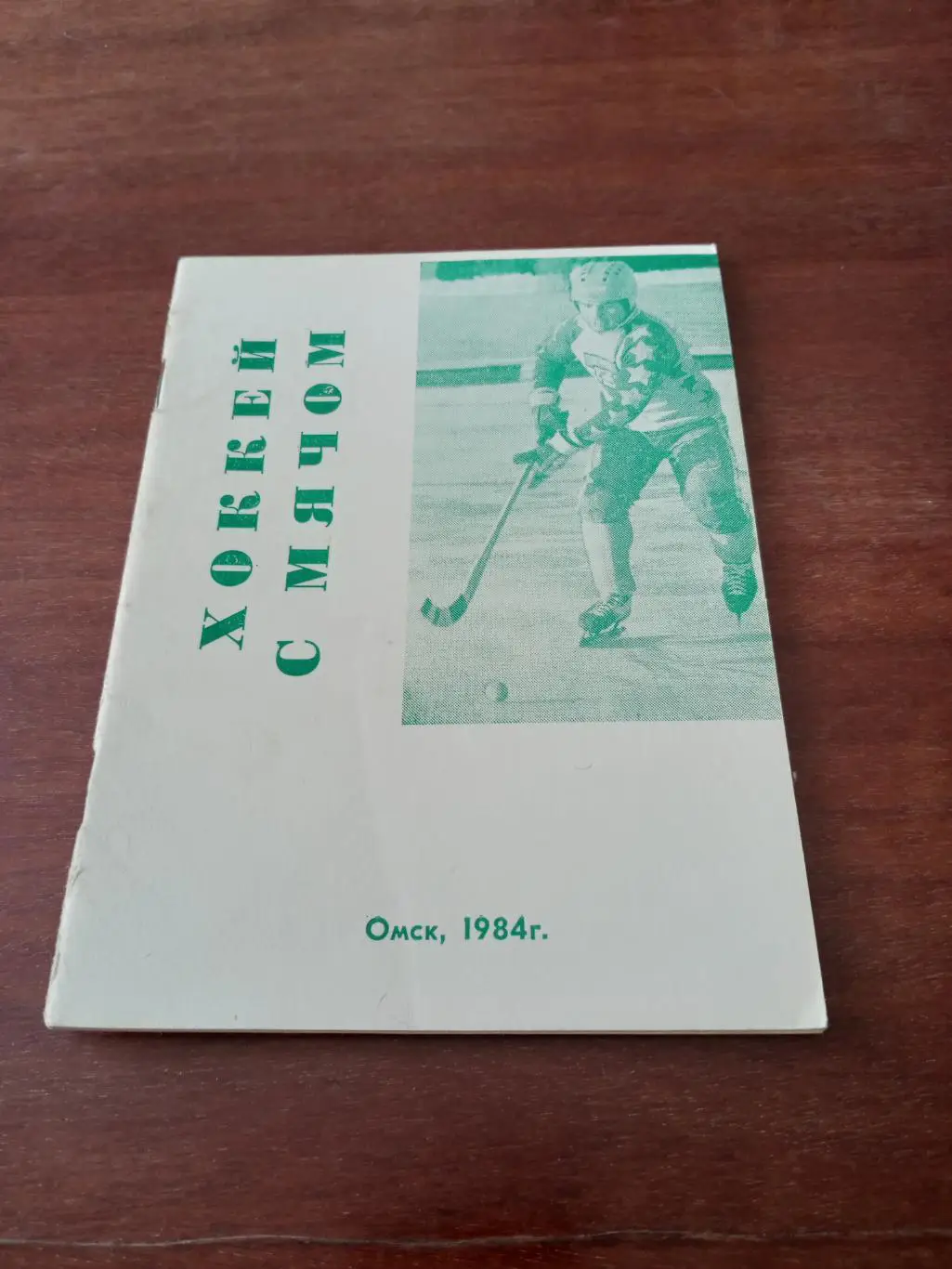 Хоккей с мячом. Омск. 1984/1985 гг