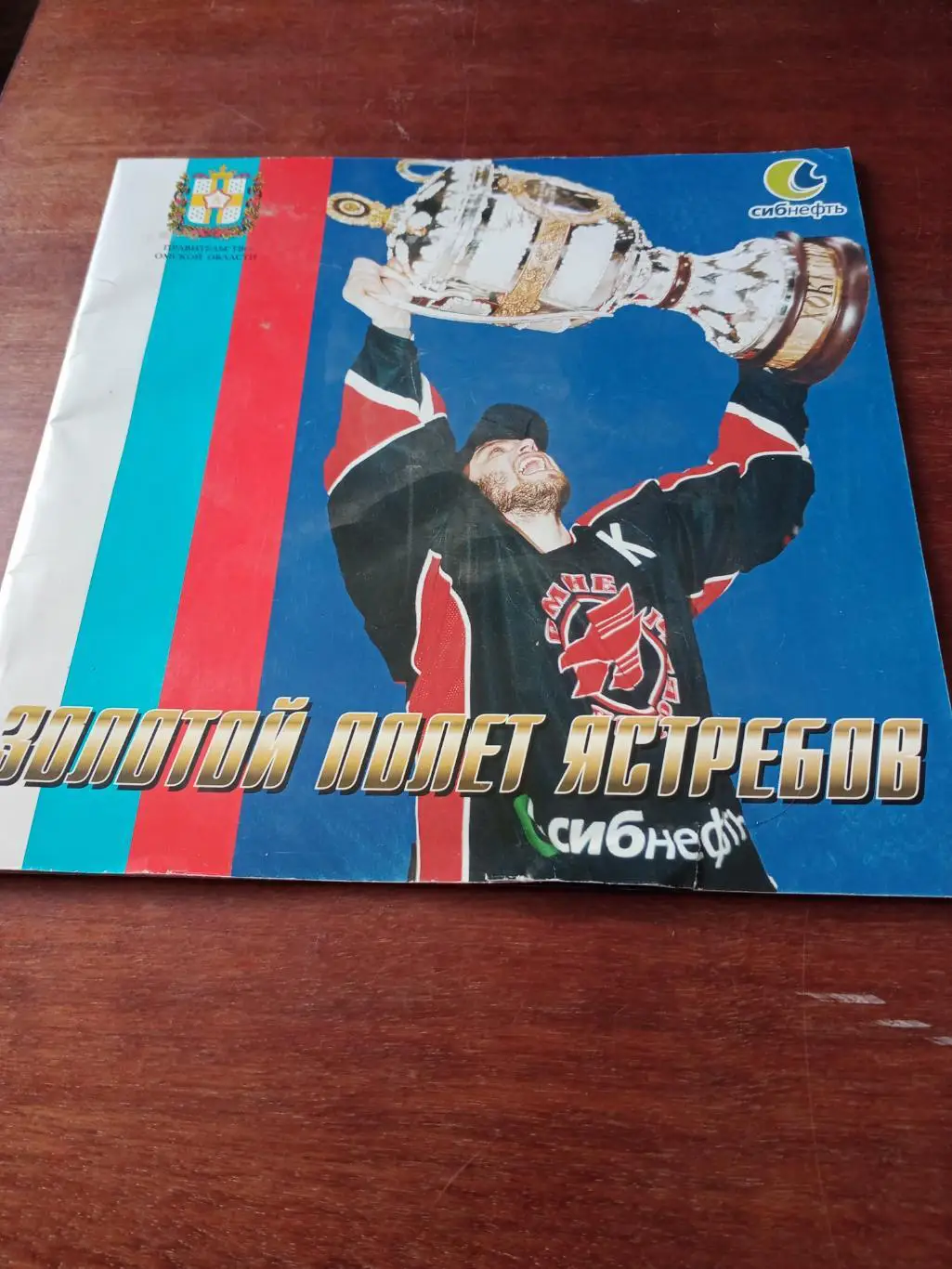 Золотой полёт Ястребов. 2004 год