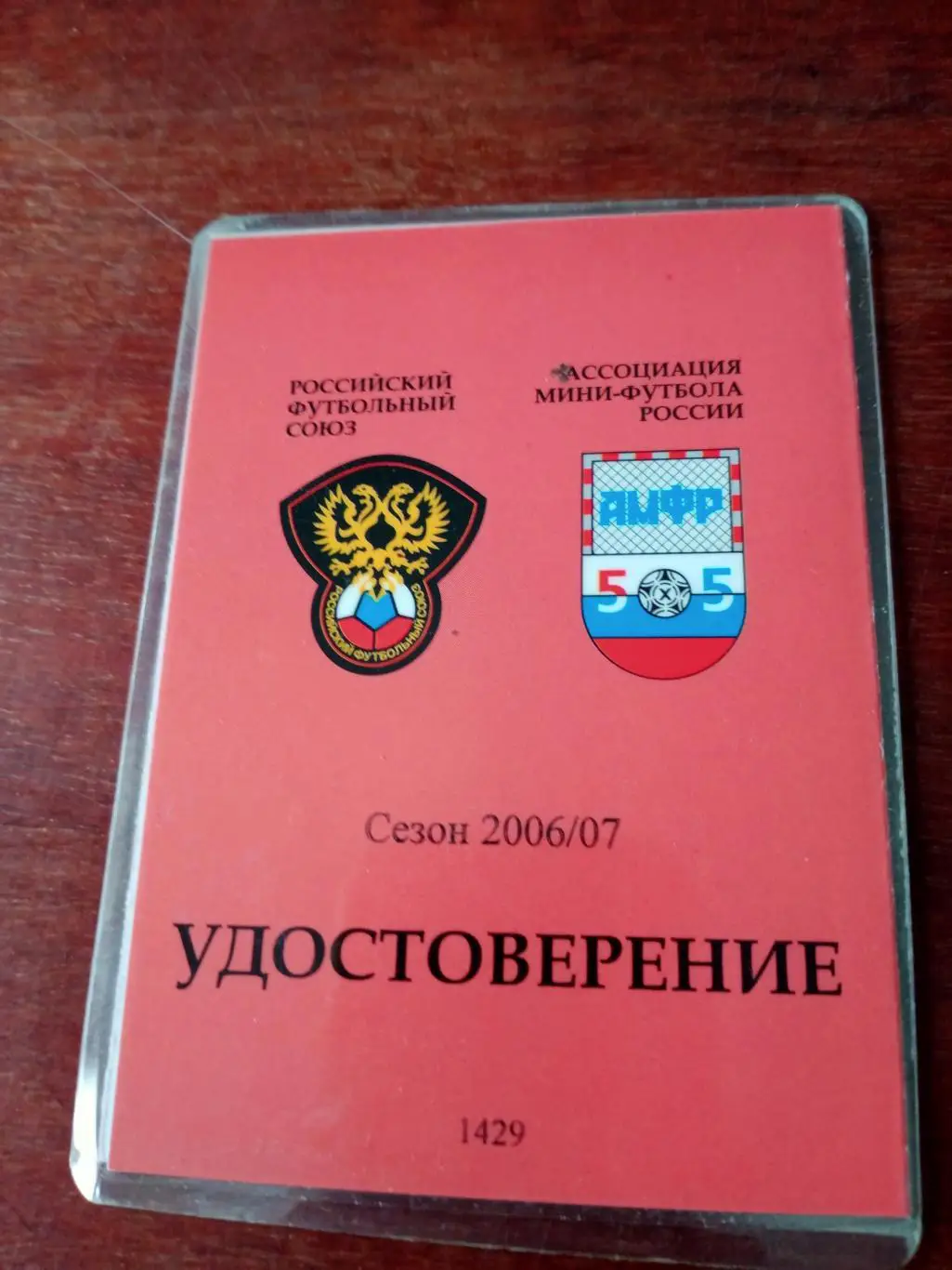 Мини-футбол. Чемпионат России. Сезон-2006/2007