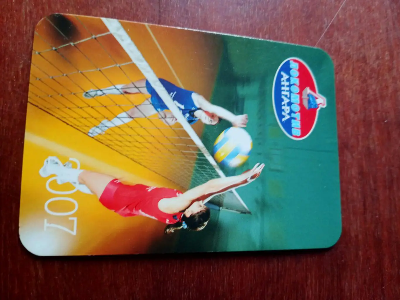 ВК Локомотив-Ангара Иркутск. 2007 год