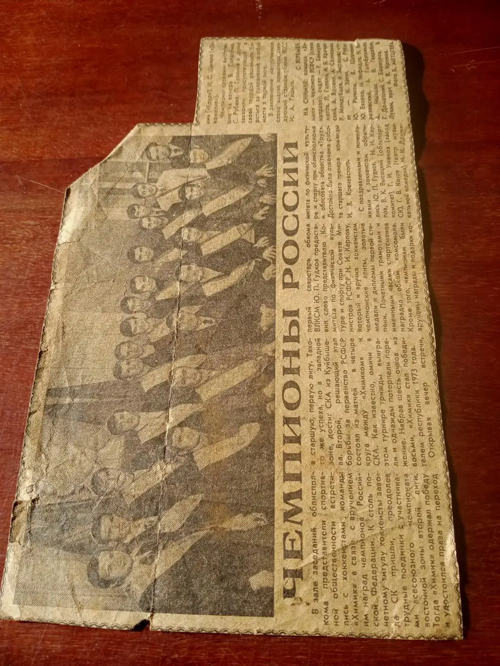 Хоккей. Химик Омск - чемпион РСФСР 1973 год